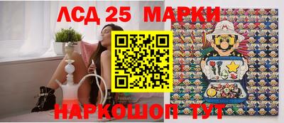гидропоника Будённовск
