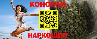 гидропоника Будённовск